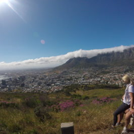 Kapstadt: Liebe auf den ersten Blick