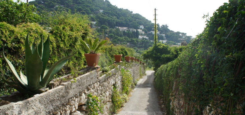 Unterwegs in Capri