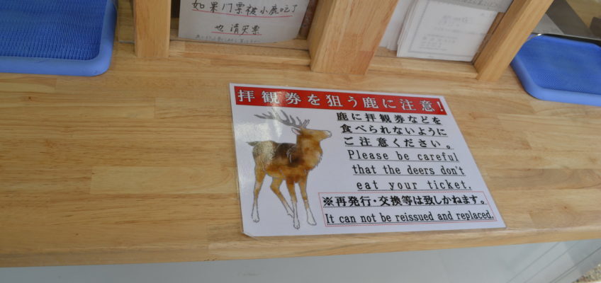 Hirsche in Nara