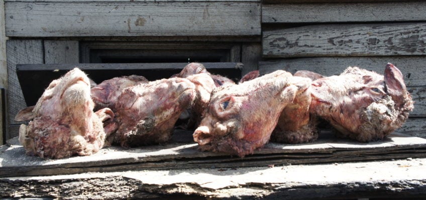 Langa Township Tour