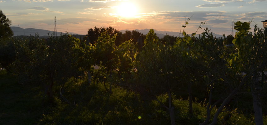 Slow Food Albanien